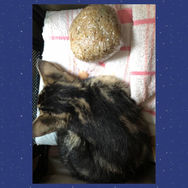 46d1337f 20ef 48b3 a946 8b9d9819f282 1723873054345