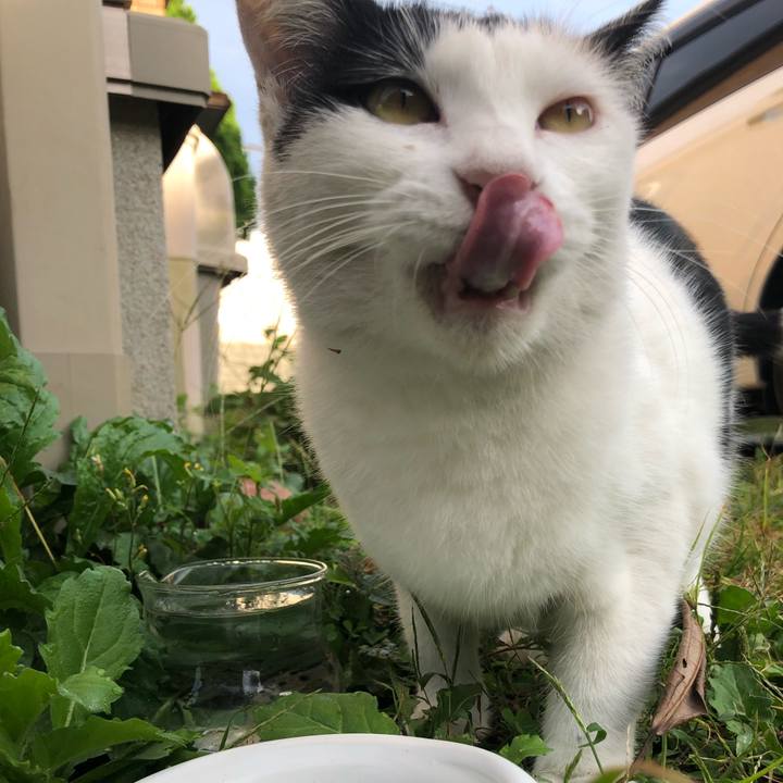 46d14c26 4528 4a71 908e 5cefc9d0af57 1600121557341