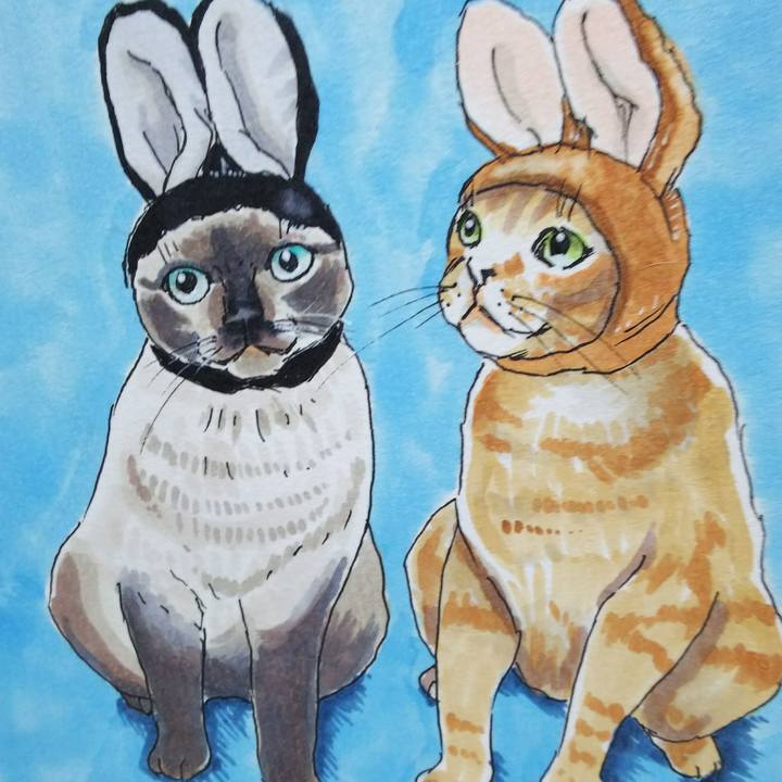 46d150b2 41bc 4dc6 9b81 5991fd644ea1 1538981860735