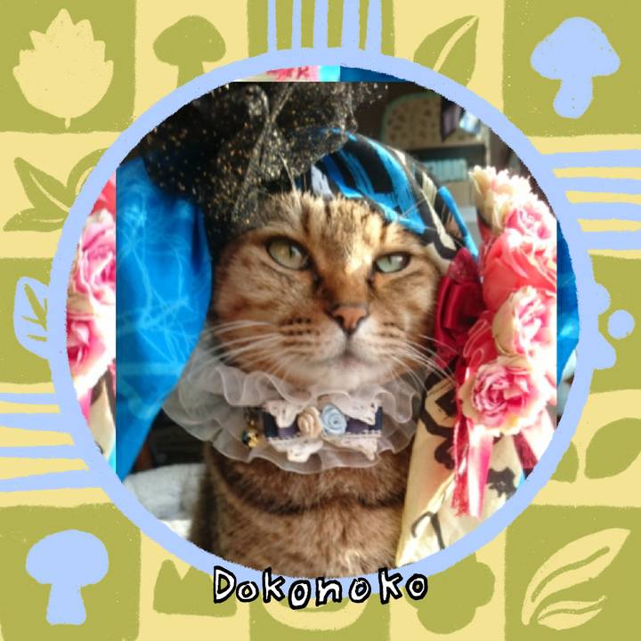 46d188aa b1f4 4728 a1a9 d6e17d0bfa1a 1764112815510