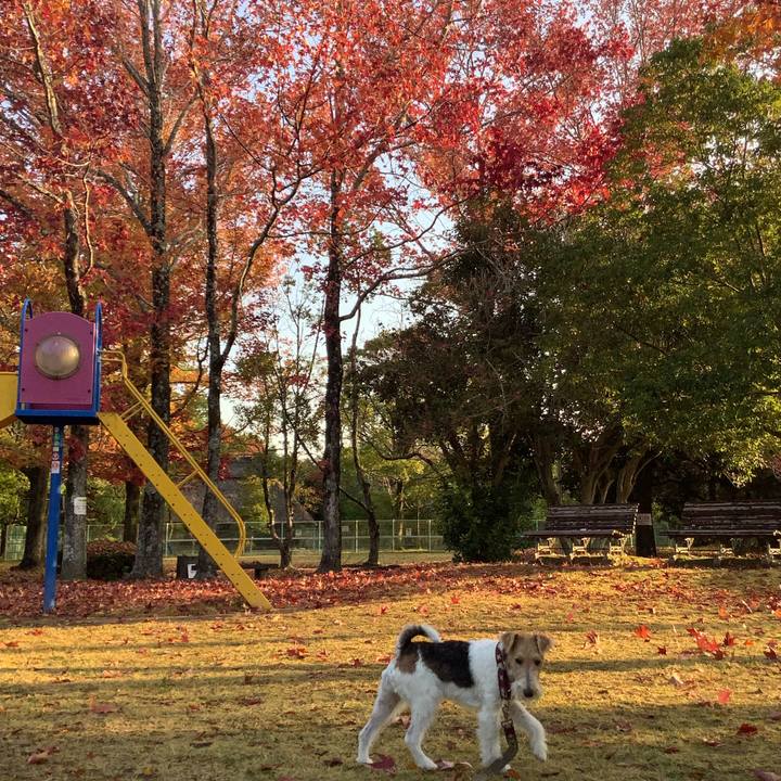 46d18b14 39c7 4eef 9c12 9296a052ca4c 1763112418566