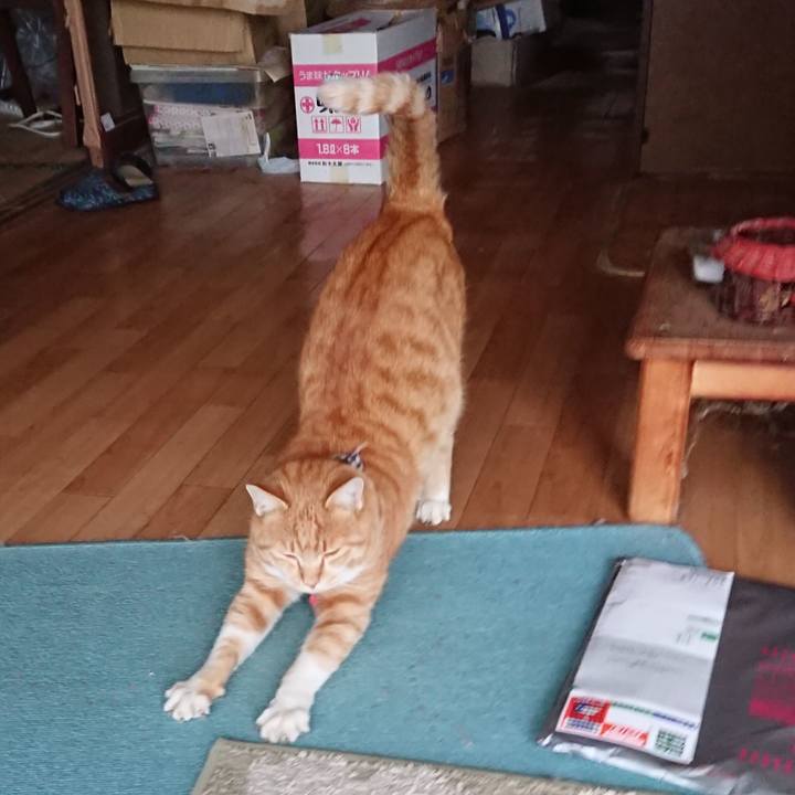 46d1c8c0 d5d9 48c6 8fa1 228ab26ba1cb 1575097434847