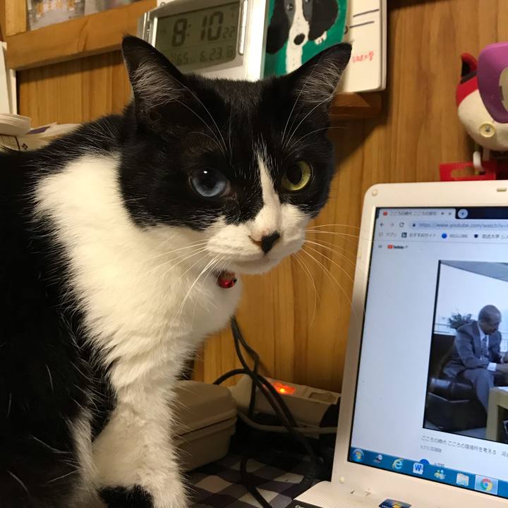 46d1d9b3 51a6 4b16 8bb3 535abd2a9578 1561288366162