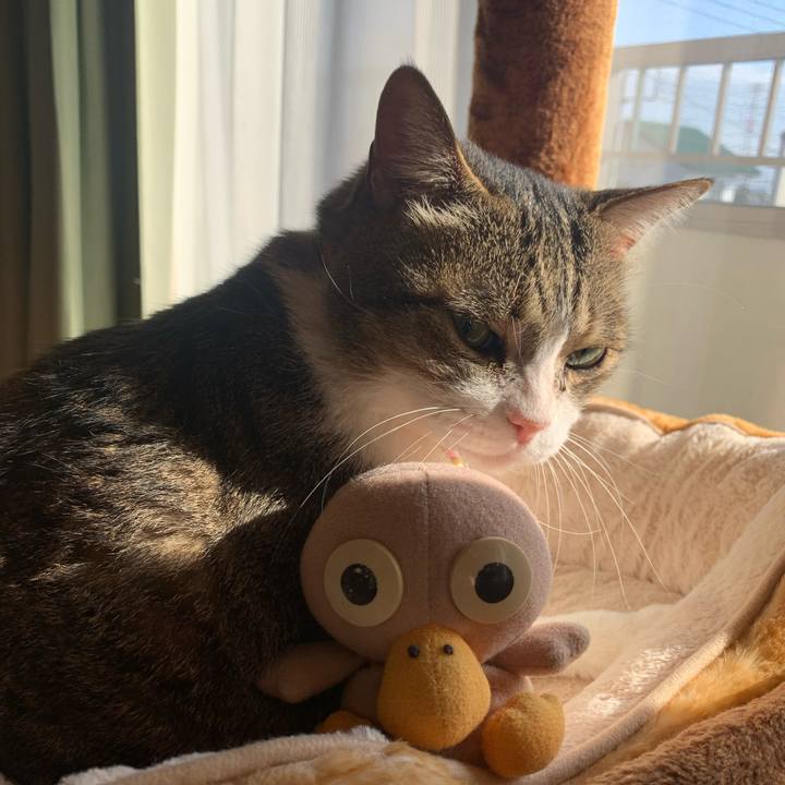 46d1dbfb df9e 40eb a046 d7f67ef77b45 1643418887854