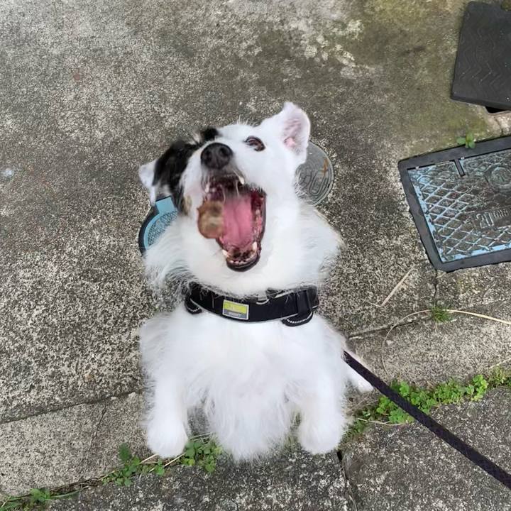 46d2a40e d9fc 436b 8e99 ace3183686d9 1749857529569