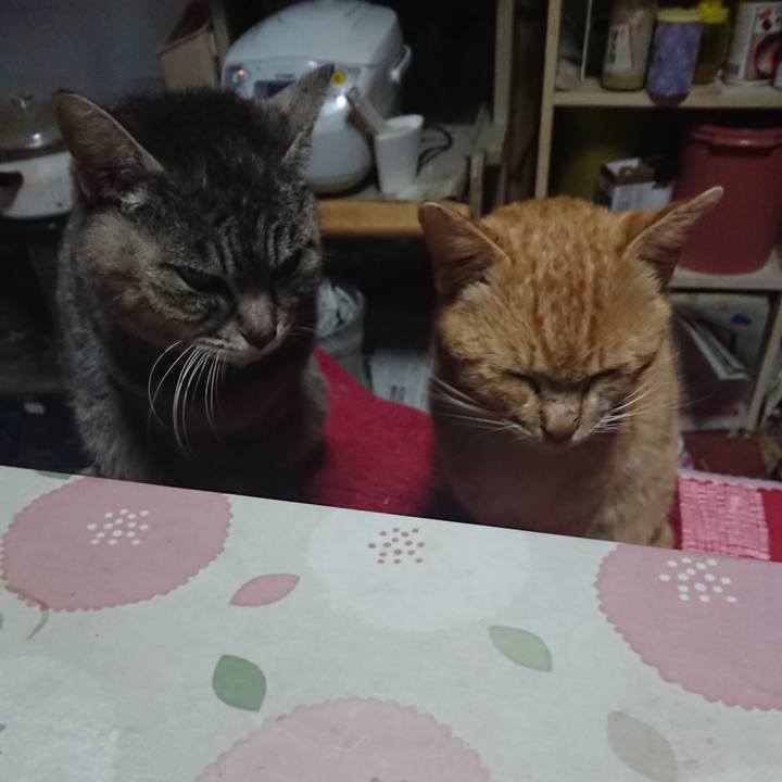 46d2bd47 e152 4a6e a76a 27d97cd26887 1554237008038