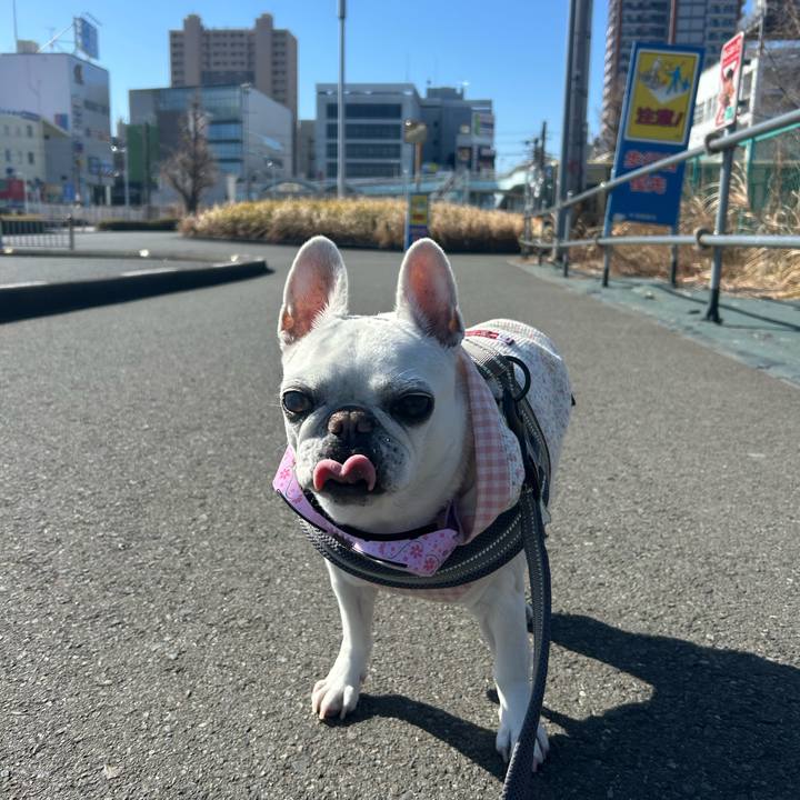 46d2e071 80d9 450e b67e 2231ad7362da 1771648646064