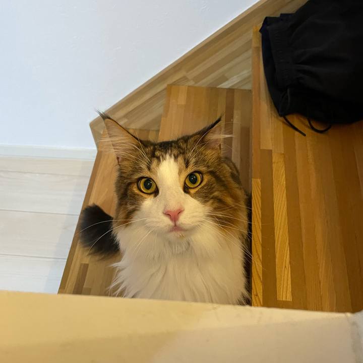 46d2e551 3668 4681 bb26 286245f1ee70 1661458268249