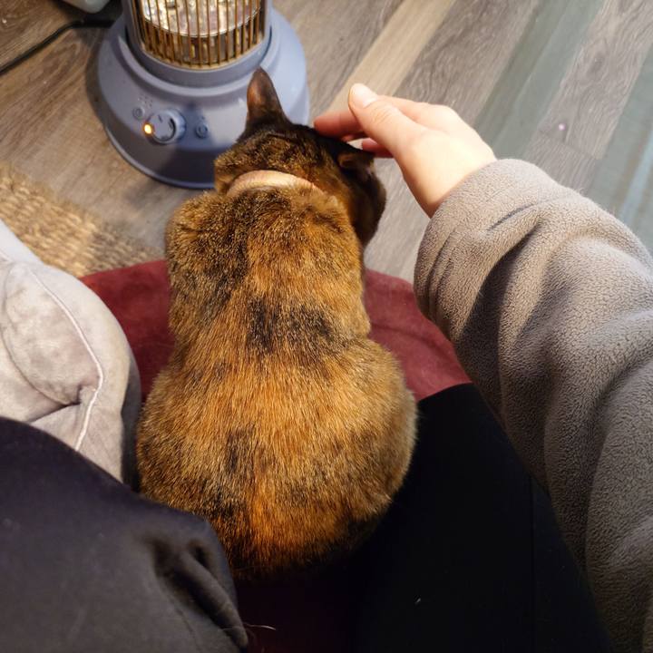 46d2e944 3561 4316 9a1f 3b0835d6155a 1771023689739