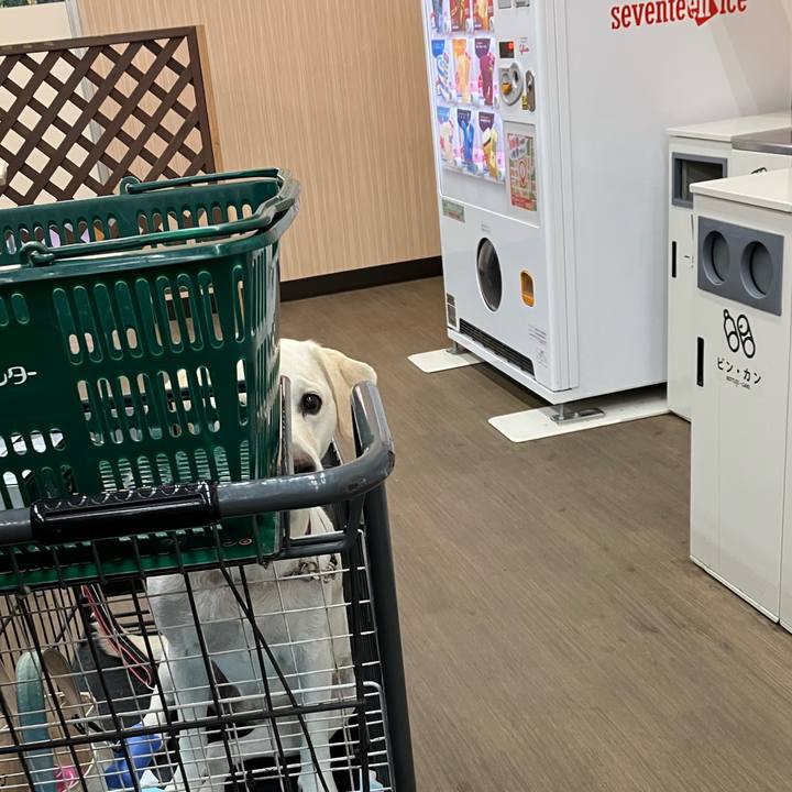 46d2f2cf ecce 4445 87eb ea1598d7b816 1670826720626