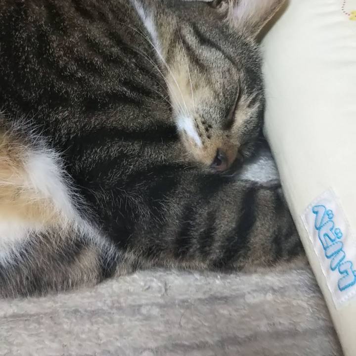 46d30470 75e0 4e3b bde8 22524d83e1f5 1603589514700