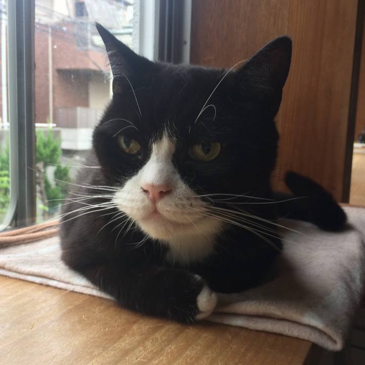 46d31361 40f3 47b9 9065 3e8f3f26f424 1568332450100