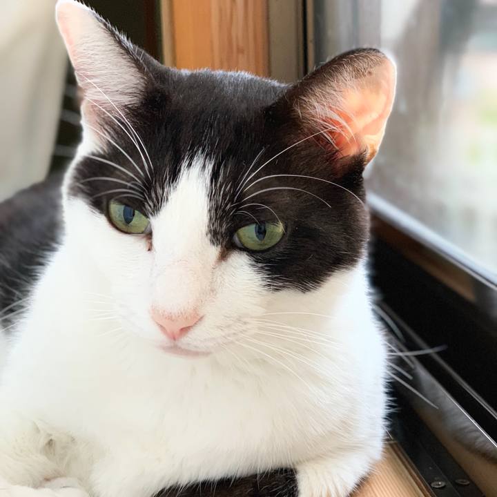 46d32623 838f 4c71 8e71 3c662fcac6b8 1566607622756