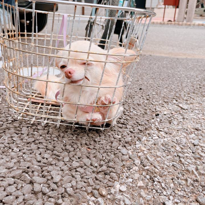 46d33293 40fc 4217 93bd 6245f186c26c 1659762130774