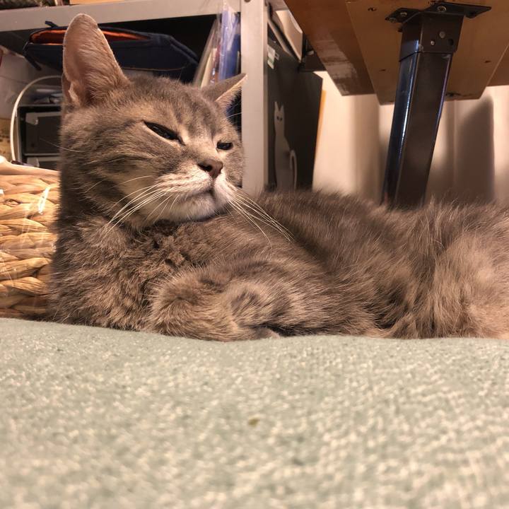 46d34892 8cc1 4684 b906 b749542bf532 1568467943692