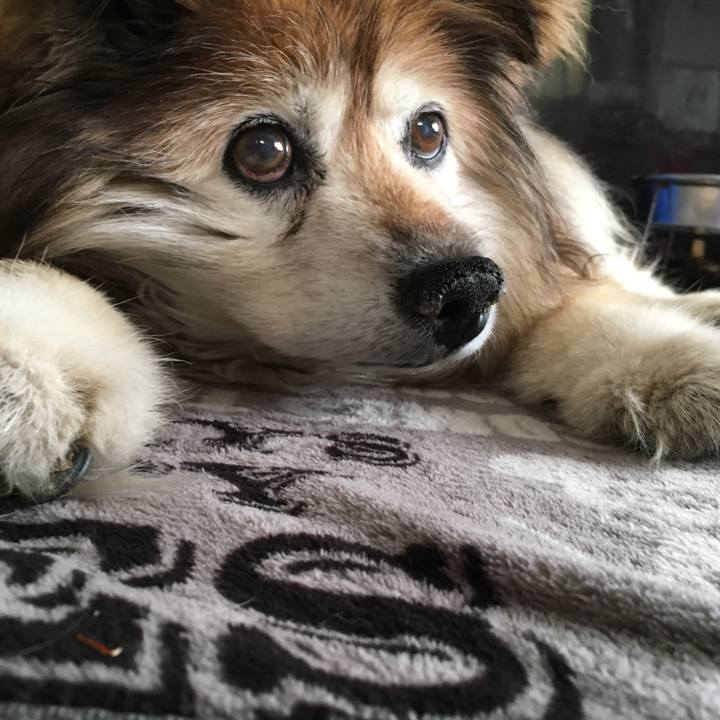 46d35589 ec66 40ec bd84 c65850dcd87b 1556436760870