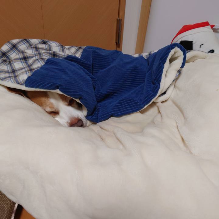 46d3684b 69e8 4dab 906a 24f2a4fb8a47 1701168937489