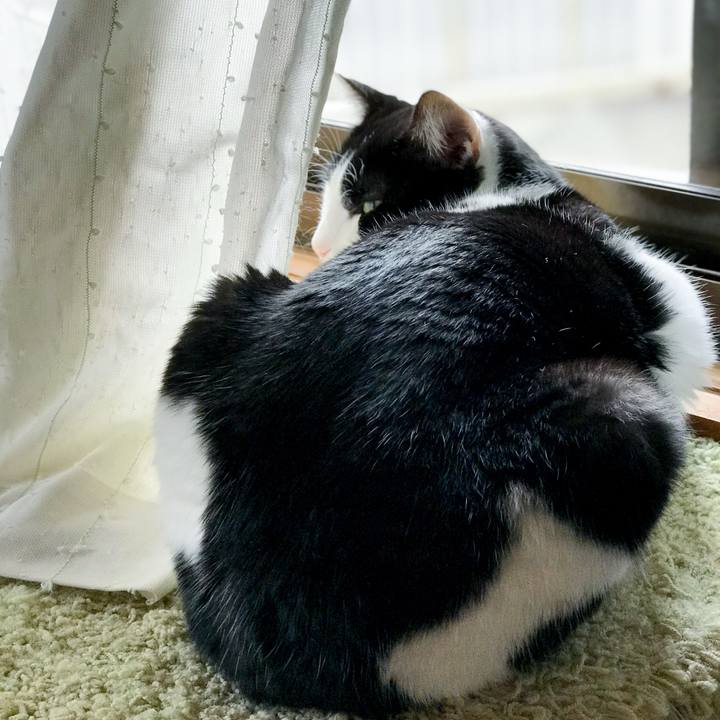 46d384b9 f589 495a aead 6d50e556fca5 1514594608781