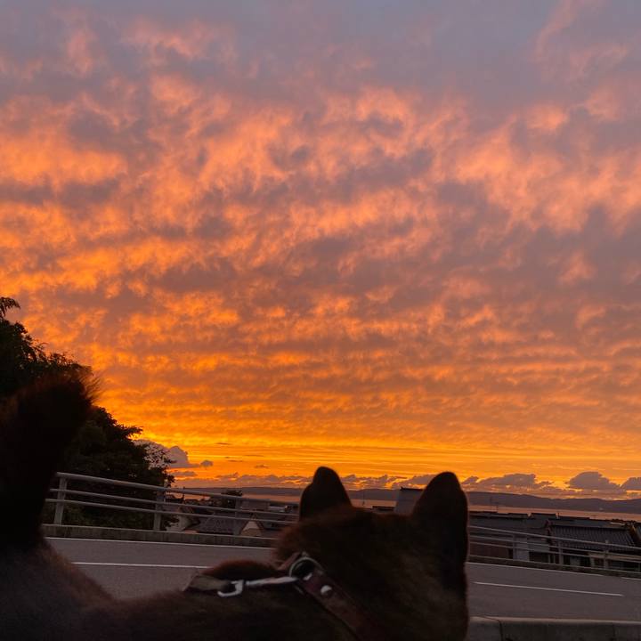 46d3b707 c48b 4bb3 9143 266933bb6d32 1602147439695