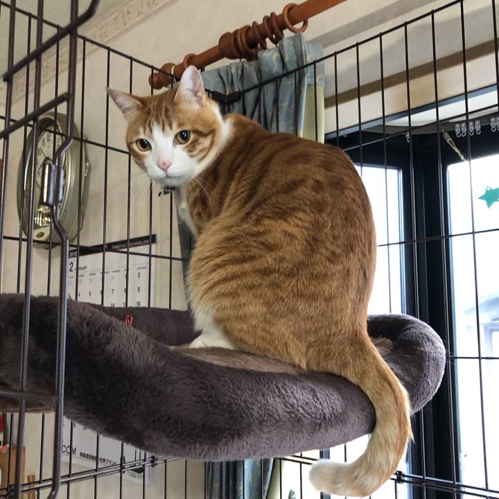 46d3d28e fd0c 460d 91ff 0d80c6a3c197 1550408871015