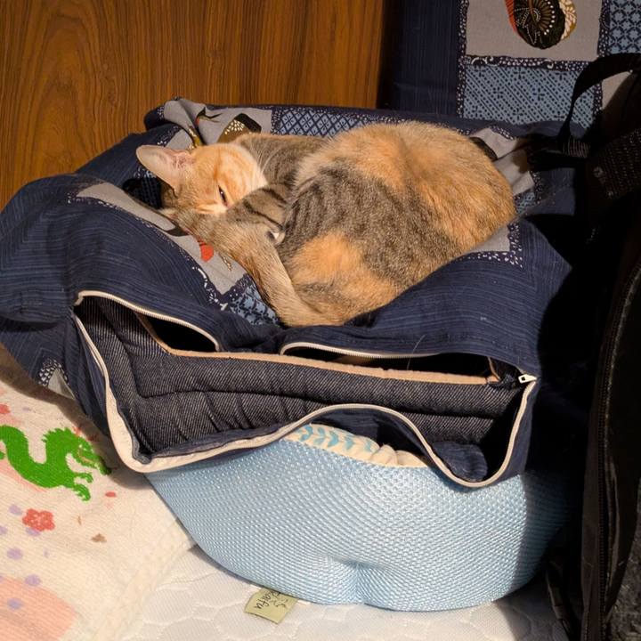 46d3f826 5e2e 4c20 bb73 32ce8a2e77e0 1765825080451