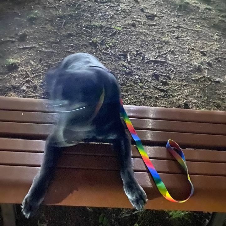 46d40ae7 1e9a 48d8 a027 3b76efcd1301 1693658718873