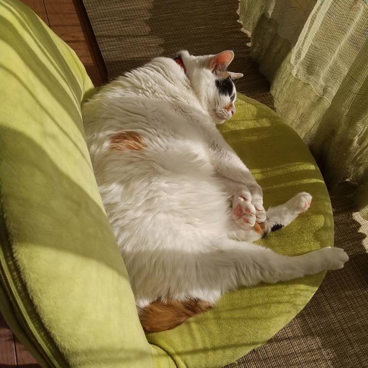 46d42ec1 ee98 4abe 811a ffc36e627cd9 1609905878210