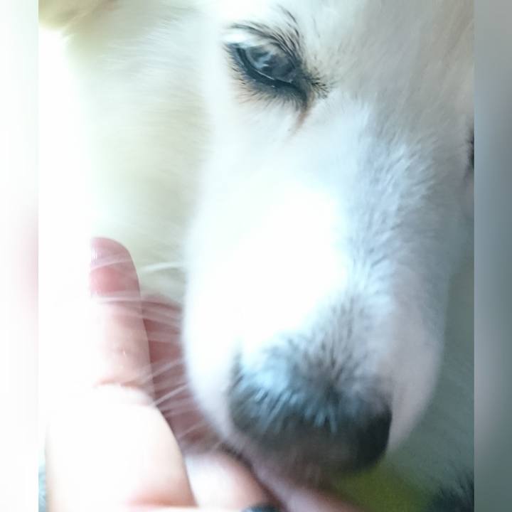 46d44938 aa74 4a4d 82d9 c7de216e1a3e 1540806195672