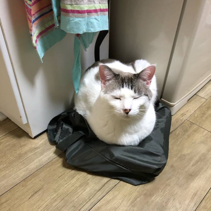 46d480fd 6877 4315 a04f 85ea151cc70d 1607685788822