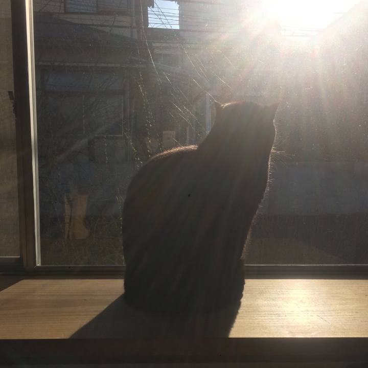 46d49cf5 0c6b 483b a8aa 44c390e6f6fe 1583190761604