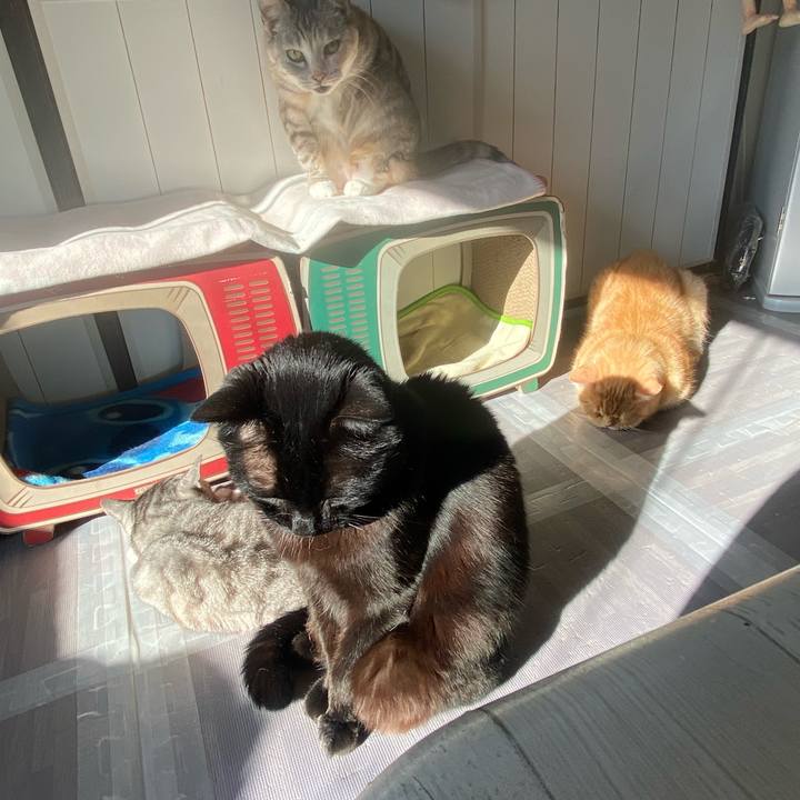 46d4bb88 da4b 461a bcc0 920480c68b0e 1640570369105