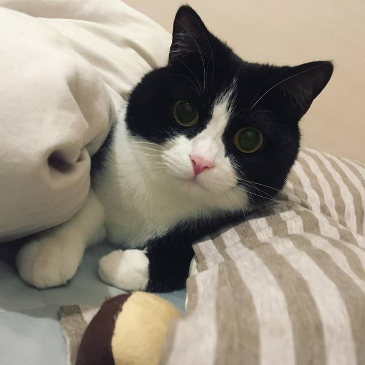 46d4bf15 b06f 4ab2 8892 513e1ecf719e 1624543060739