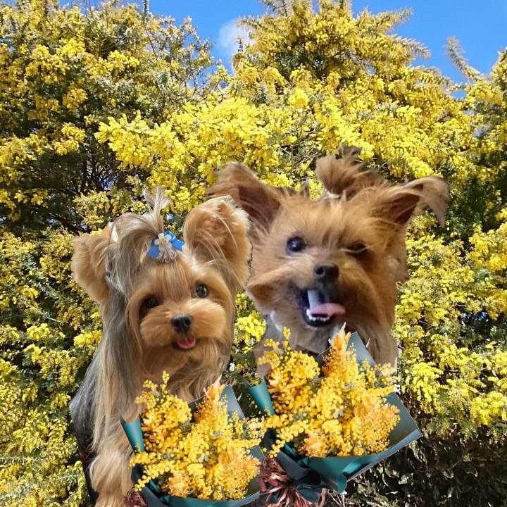 46d4c588 ddd0 42fe bbbb 612581ded264 1646696318088