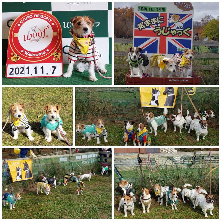 46d4cae5 5f3e 4a83 8166 e72919d1e927 1636283549092