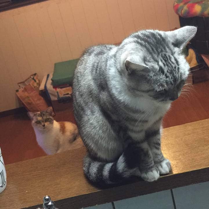 46d4d050 3efe 4827 9d1a bcfcba76957b 1575199917521