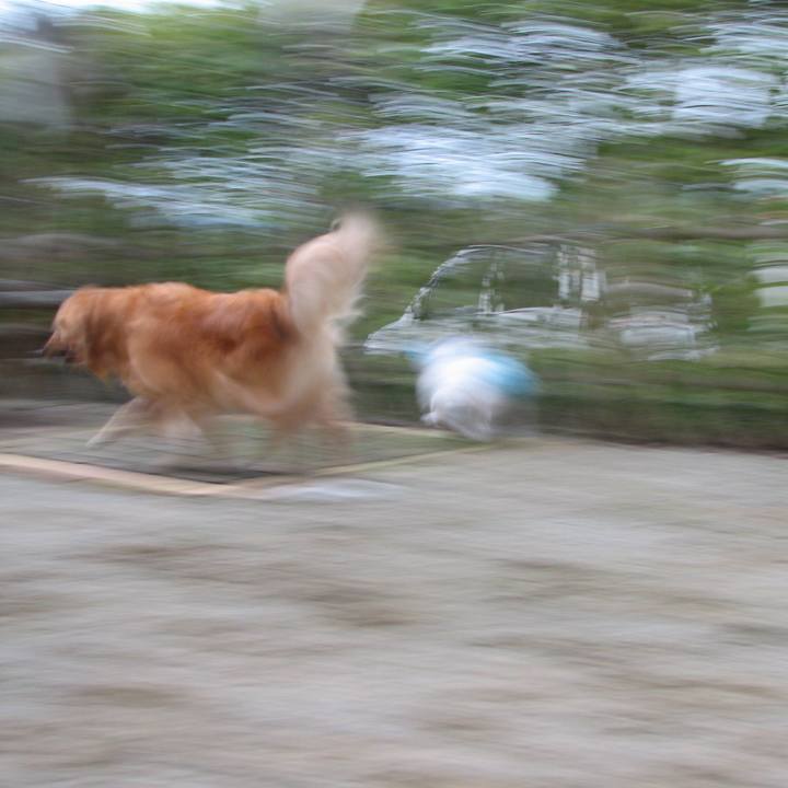 46d4d298 8ab7 4613 88a9 b5c9f242d2c2 1523926239540