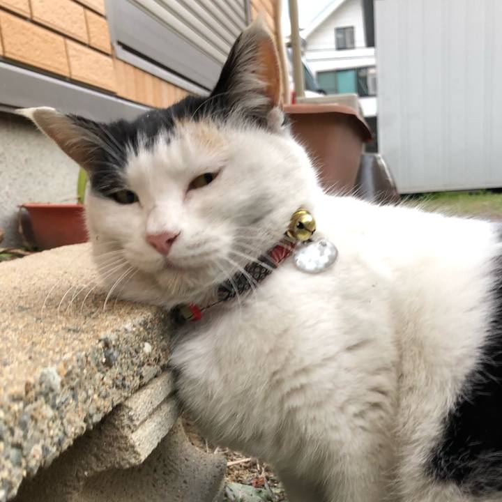 46d4e35c ee7f 41c8 a3d9 0b2795929b3c 1610838364250