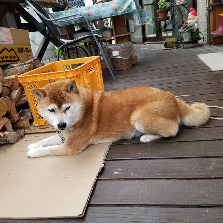 46d4eaf3 1f2b 4ce8 96c1 412b643a62c8 1619938912132