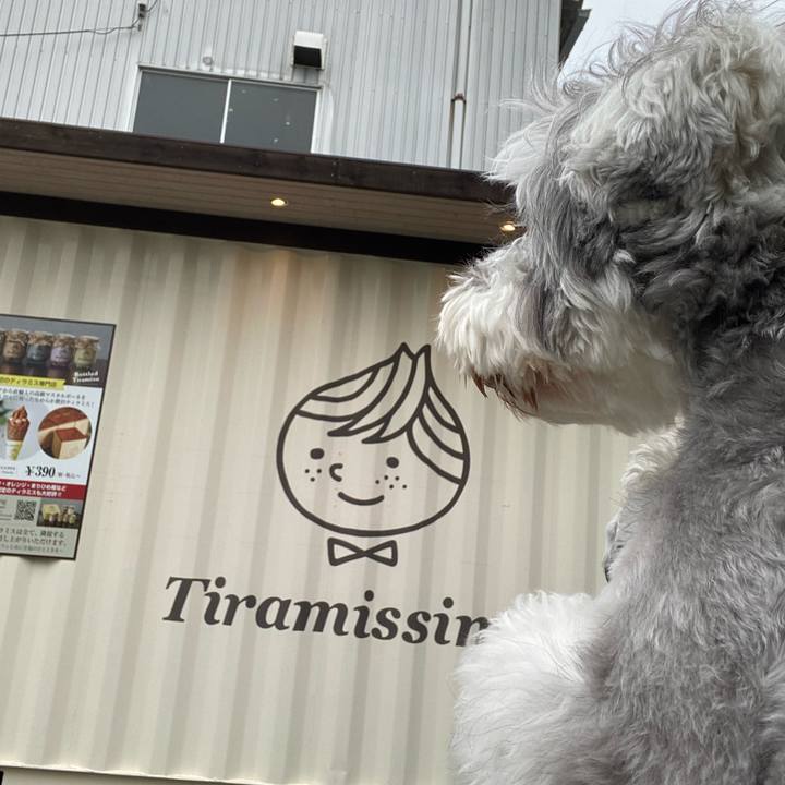 46d4f917 d3a9 460c a84f d92f2fbd7593 1649692509936