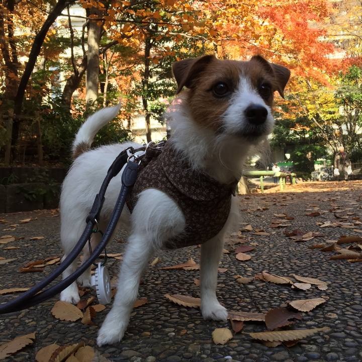 46d510e8 5b87 4e97 bb41 10f5dac09ed0 1512273492051