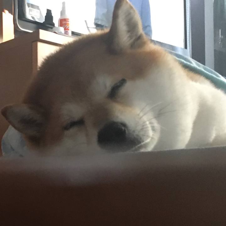 46d53796 0e7a 4515 8e97 d1ee89047782 1599363797214