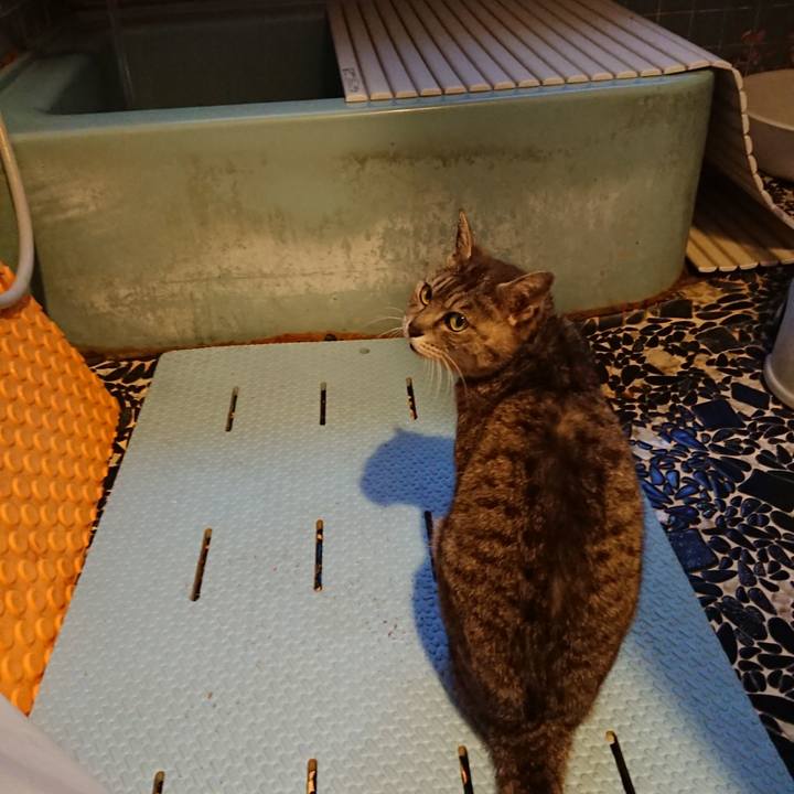 46d53c24 5dfa 4ed1 873a fcb38e09eb00 1591524671508