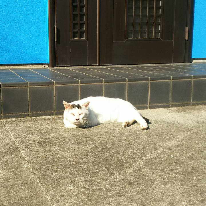 46d583a8 0571 4dc2 9cb0 d2f8c6b435f0 1524123918343