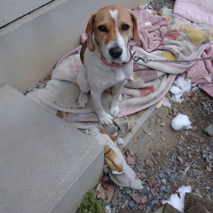 46d5cef3 98c1 464e 8e05 010e3ae541e0 1576911600893