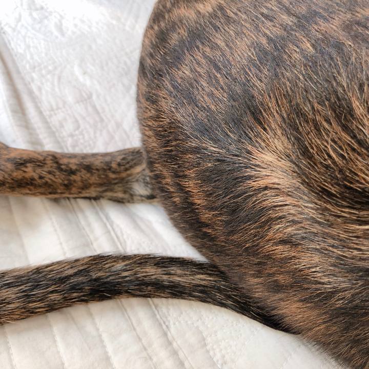 46d61571 94ce 481f 9f90 303a88a62165 1573541661819