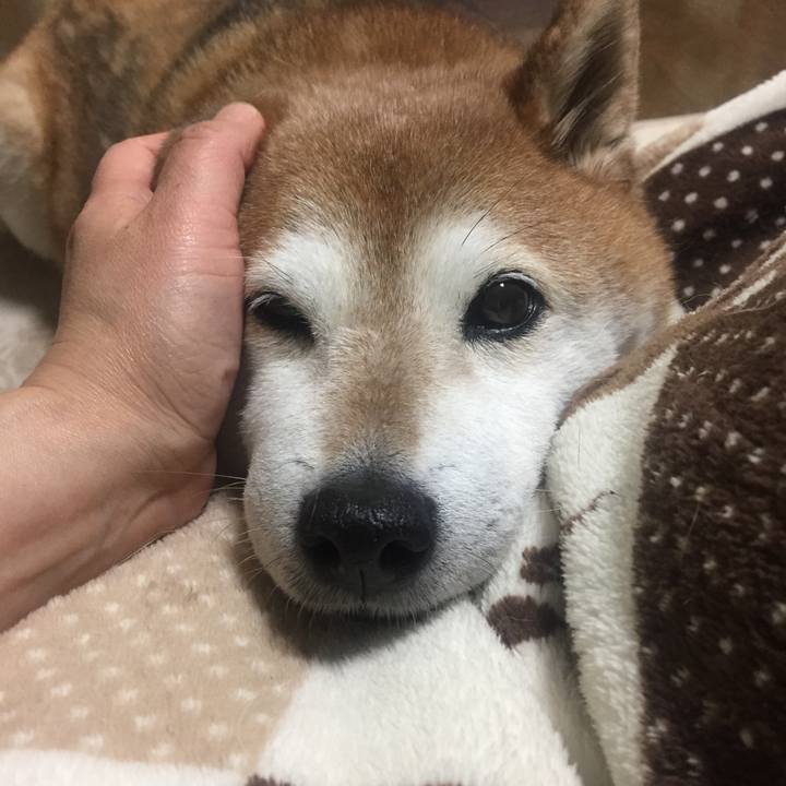 46d61c09 64bd 4874 bdfd fea07efb5c63 1522493142331