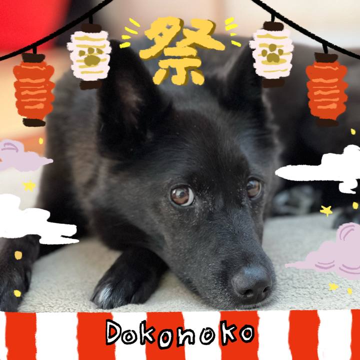 46d620a4 cbef 474b 9f09 7999abd15c1f 1723428605690