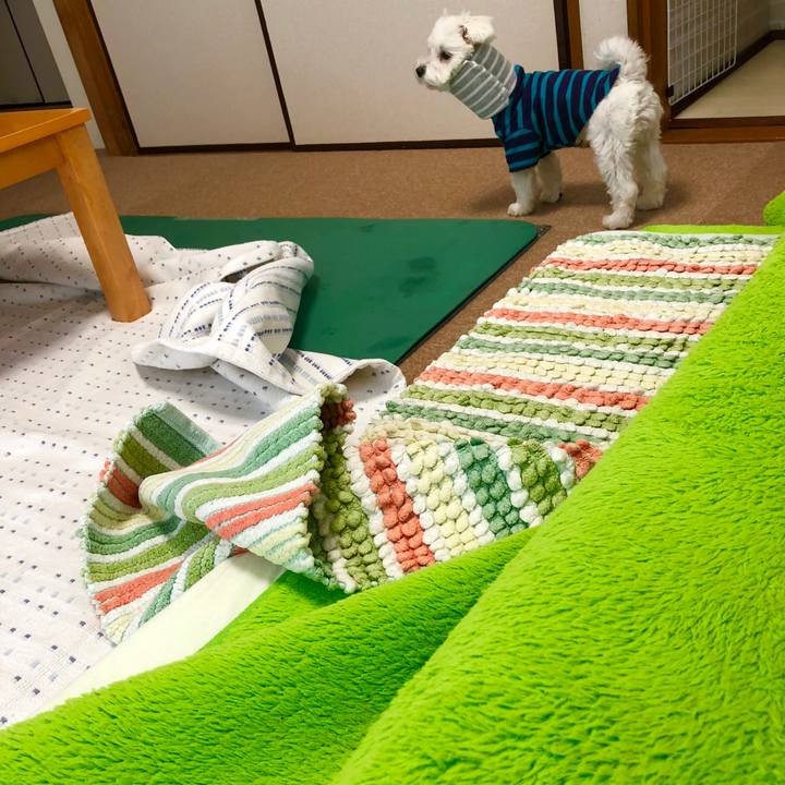 46d64587 23a2 4844 86d3 539deb28eb88 1523079074306