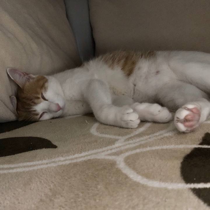 46d69fa7 afde 4bf8 848e 7ebd494fb902 1541760264425