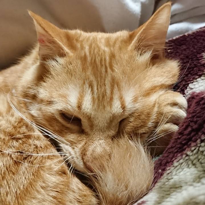 46d6a106 f4e9 4164 b6ce adba90855b4b 1642509358898